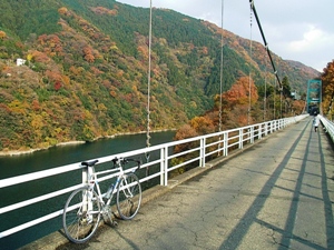 2007_1204つり橋.JPG