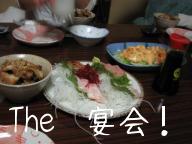 IMG_4032.JPG