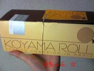 koyama2