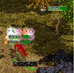 ガバンでぃん２