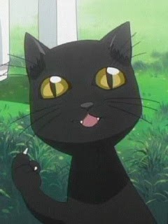 ﾖﾙ　猫.jpg