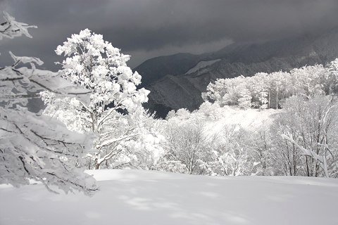 resize6389a.jpg