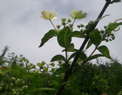 25CIMG0447.jpg