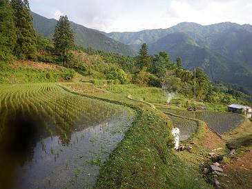 a2010 06 03_3018.jpg