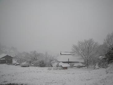 a2010 03 10_7991.jpg