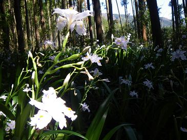 a2010 04 26_9673.jpg