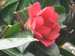 25CIMG7314.jpg