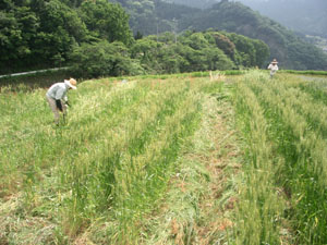 3CIMG0902.jpg