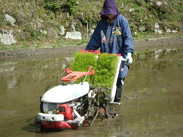 a2010 05 03_1255.jpg