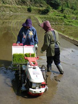 a2010 05 03_1265.jpg
