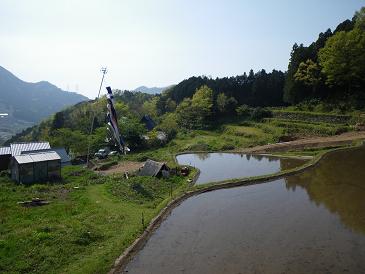a2010 05 03_1299.jpg