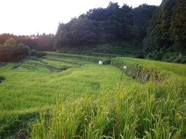 a2009 08 24_9260.jpg