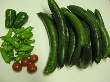 100724今日の収穫