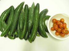 100727今日の収穫