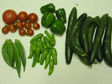 100728今日の収穫