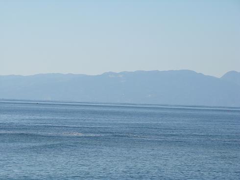 相模の海　背景は箱根連山