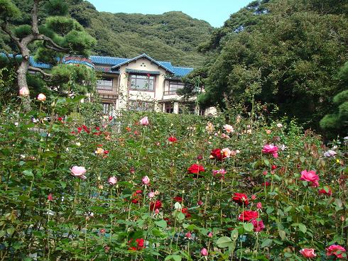 鎌倉文学館・バラ園