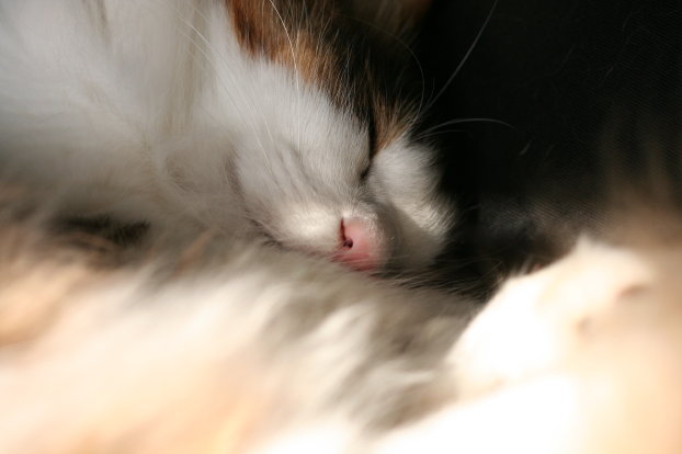 IMG_9855.jpg