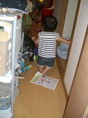 noa20-5.23.3
