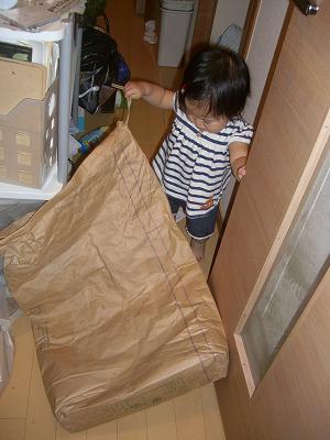 noa20-5.23.5