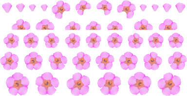 押し花.jpg