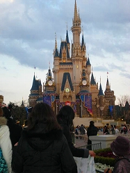 TDL 045.jpg