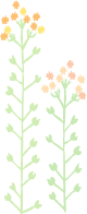 illust-flower2.gif