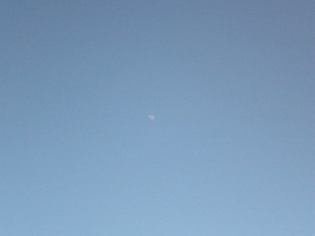 DVC00019.JPG