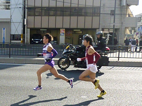 p2.jpg