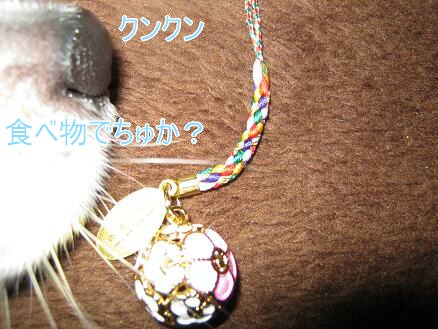 画像 033.jpg