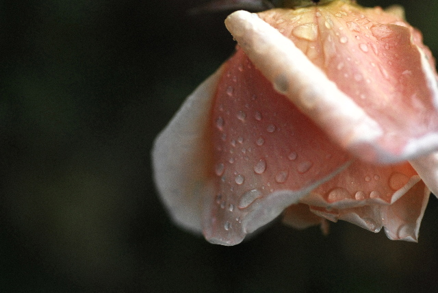 pict0014.jpg