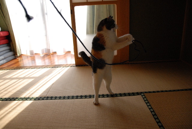 pict0003.jpg