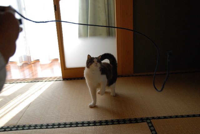 pict0009.jpg