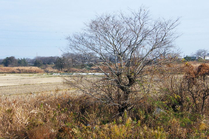 pict0001.jpg