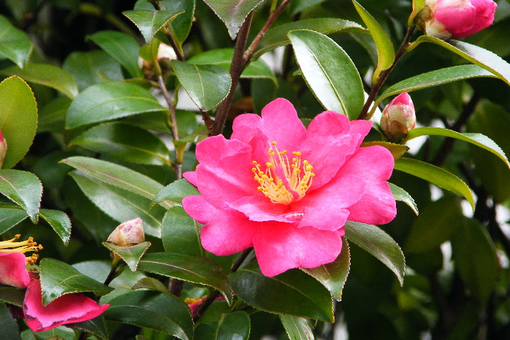 pict0007.jpg