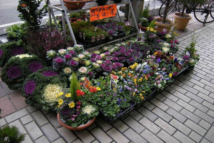 pict0008.jpg