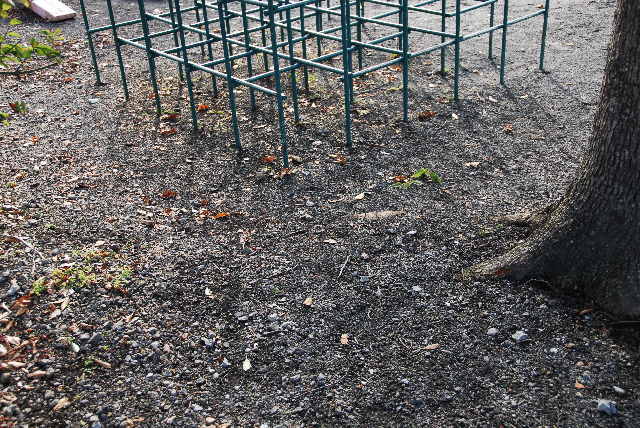 pict0009.jpg