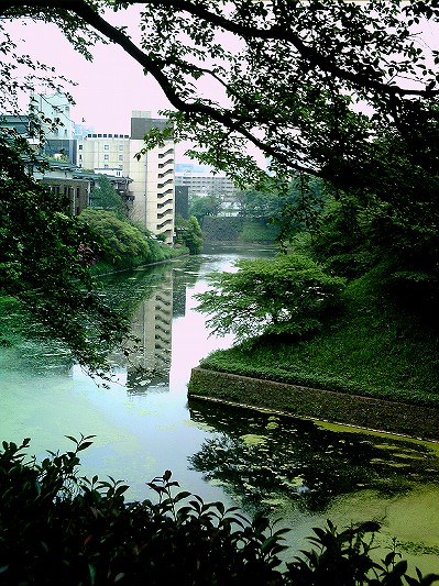 皇居のお堀１.jpg