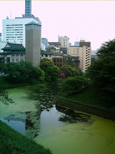 皇居のお堀２.jpg