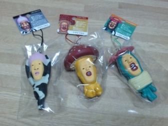 11922こびとづかん.JPG