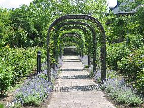 やくらいガーデン 6