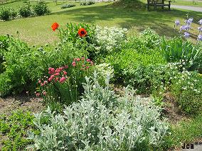 やくらいガーデン 9