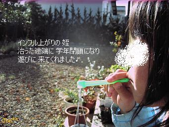 しゃぼん玉 12/8