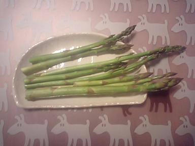 アスパラ☆我が家産直
