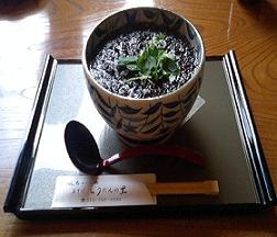 激ウマお蕎麦２