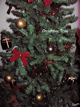 クリスマスツリー　2009