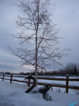 チェナ川沿いにて