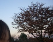 イメージ amp4.jpg