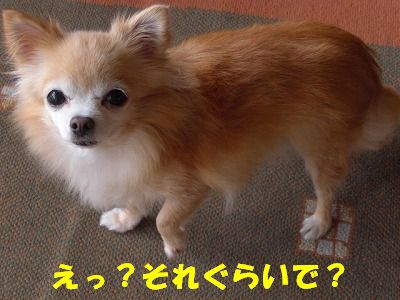 そんなんで？