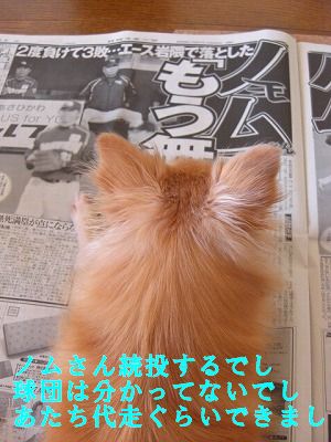 新聞読むでし